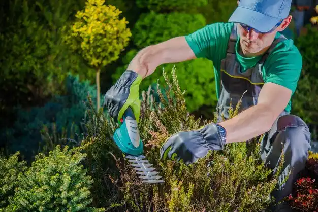 landscaping services Fulton